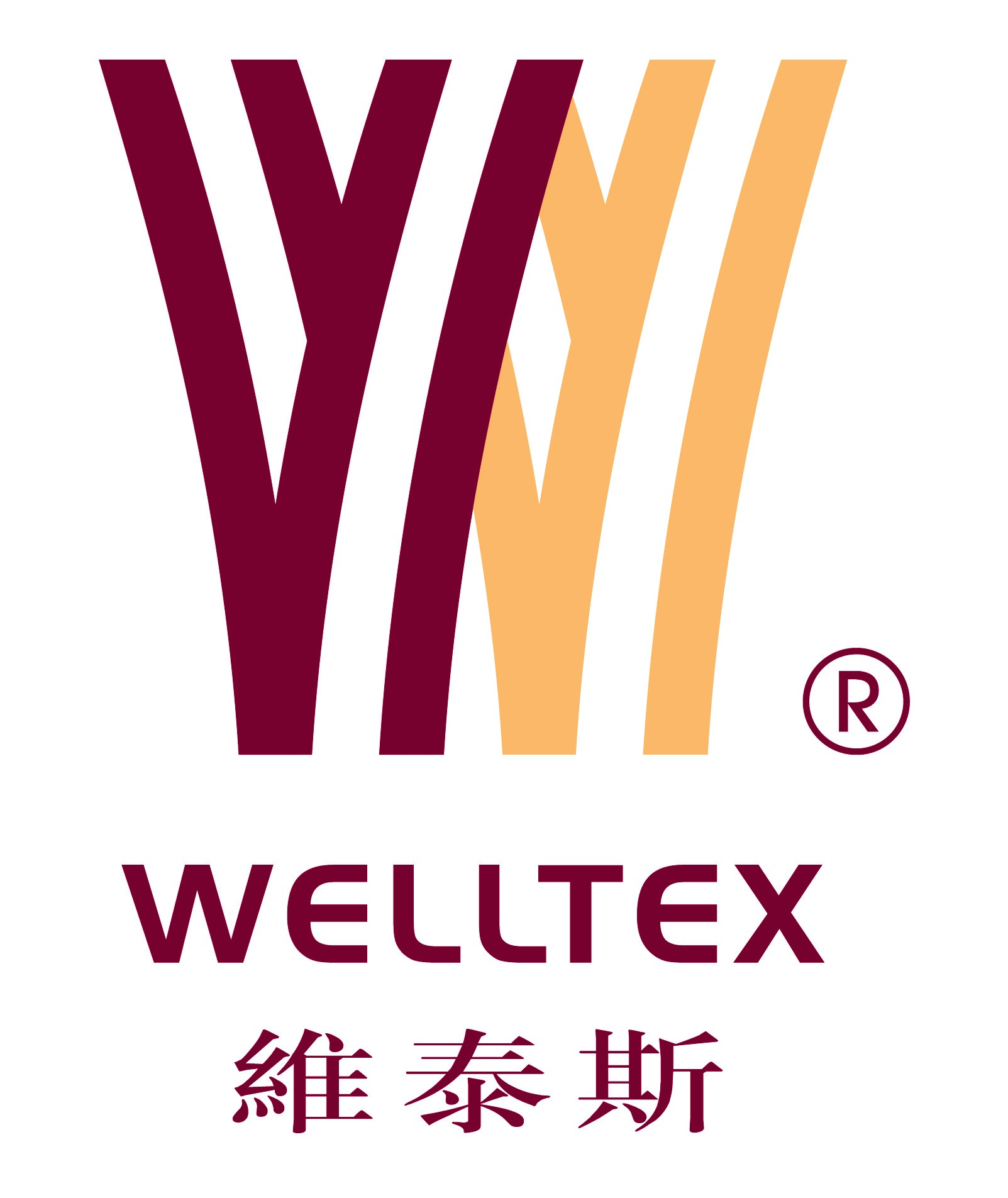 維泰斯logo.jpg